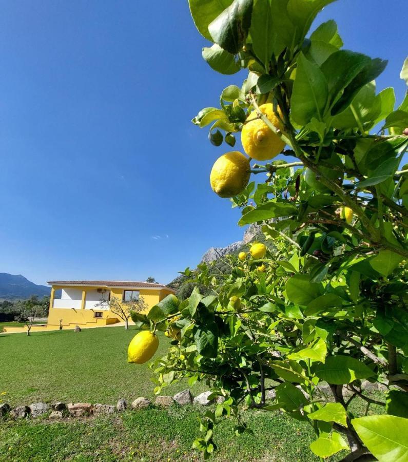 Indipendente Con Piscina Uso Esclusivo Internet Illimitato Villa Siniscola Eksteriør bilde